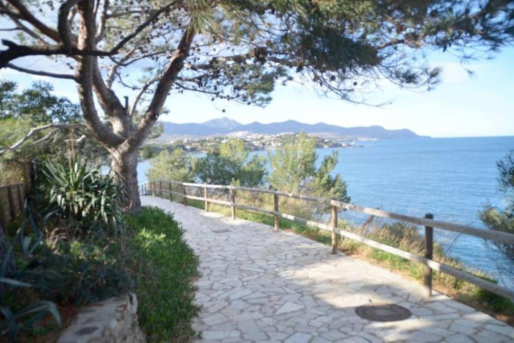 Residence Avec Piscine Face A La Mer, 1Ere Ligne Llançà Extérieur photo